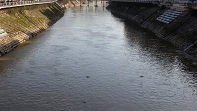 Hatay'da Asi Nehri'nde yaşanan toplu balık ölümleri, çiftçilerin kendi arazilerine