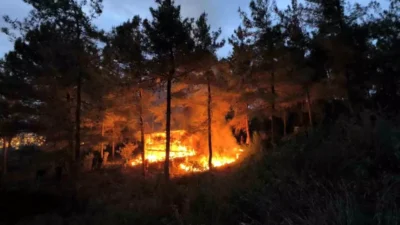 Hatay’ın Dörtyol ilçesi Yenimahalle Mahallesi’nde, taş ocağı mevkiine yakın noktada