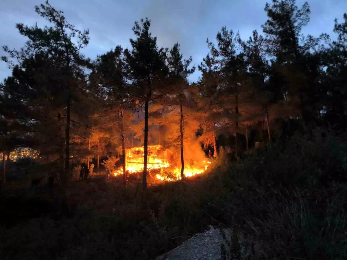 Hatay’ın Dörtyol ilçesi Yenimahalle Mahallesi’nde, taş ocağı mevkiine yakın noktada