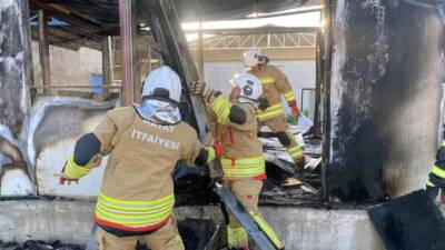 Hatay’ın Antakya ilçesine bağlı Dikmece Mahallesi’nde bekçi kulübesi olarak kullanılan