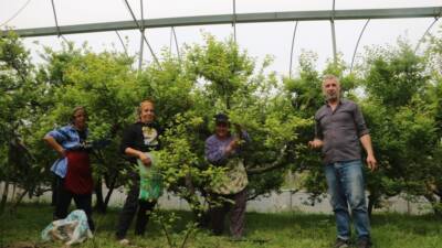 Hatay’ın Samandağ ilçesine bağlı Yaylıca Mahallesi’nde yaşayan çiftçi Aladdin Aslan,