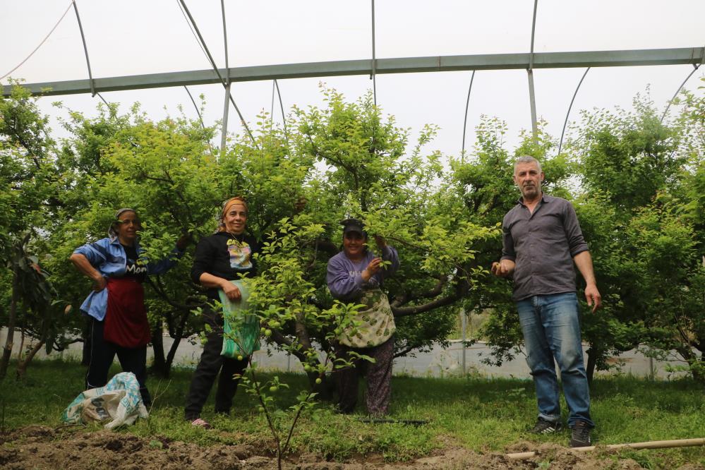Hatay’ın Samandağ ilçesine bağlı Yaylıca Mahallesi’nde yaşayan çiftçi Aladdin Aslan,