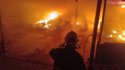 Hatay’ın Kırıkhan ilçesinde bulunan Barbaros Mahallesi’nde, bir evin çatı katında