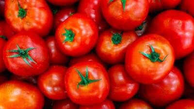 ABD, Meksika’dan yapılan domates ithalatına yeni ücretler getirmeye hazırlanıyor. Uzmanlar,