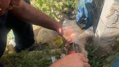 Hatay’ın Kırıkhan ilçesine bağlı Mimar Sinan Mahallesi’nde yaşanan olayda, bir