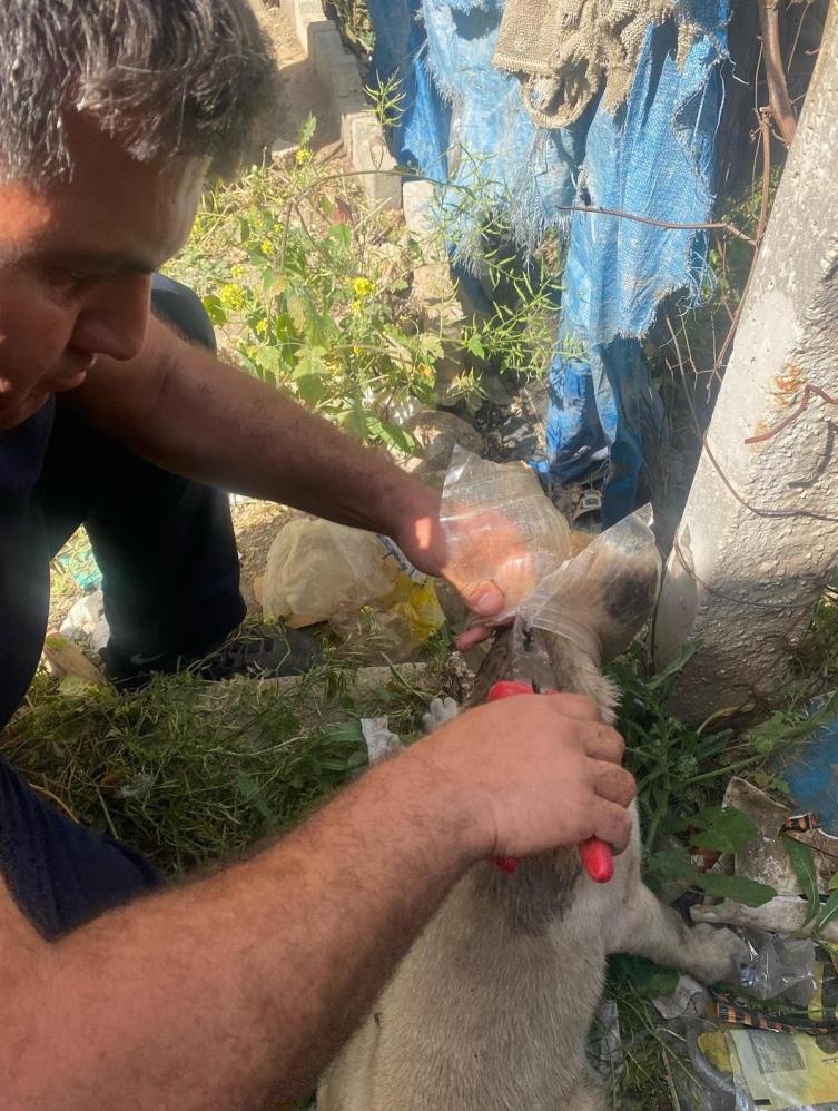 Hatay’ın Kırıkhan ilçesine bağlı Mimar Sinan Mahallesi’nde yaşanan olayda, bir