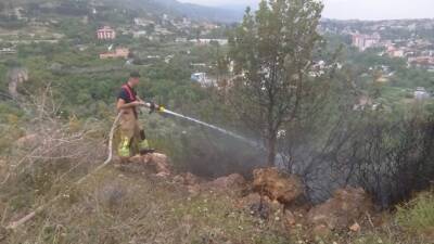 Hatay’ın Defne ilçesinde, Esenbulak Mahallesi’nde bulunan bir zeytinlik alanda çıkan