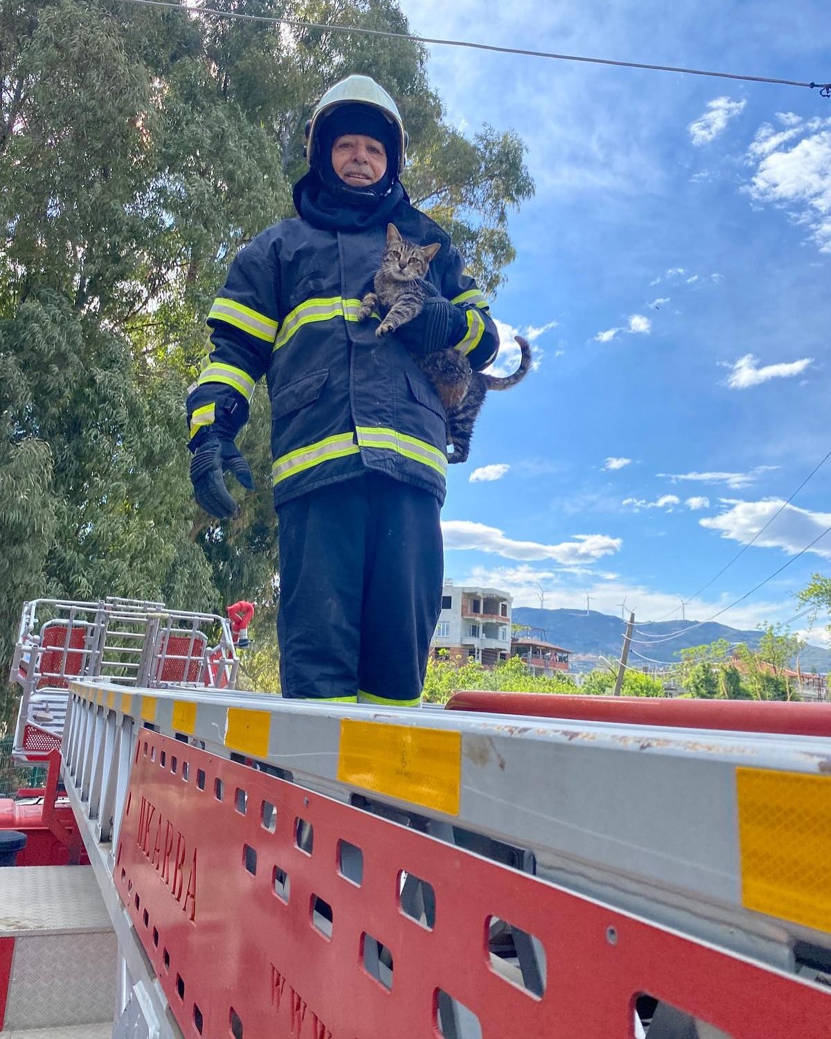Hatay’ın Samandağ ilçesinde, Mızraklı Mahallesi’nde bir ağaçta mahsur kalan kedi,