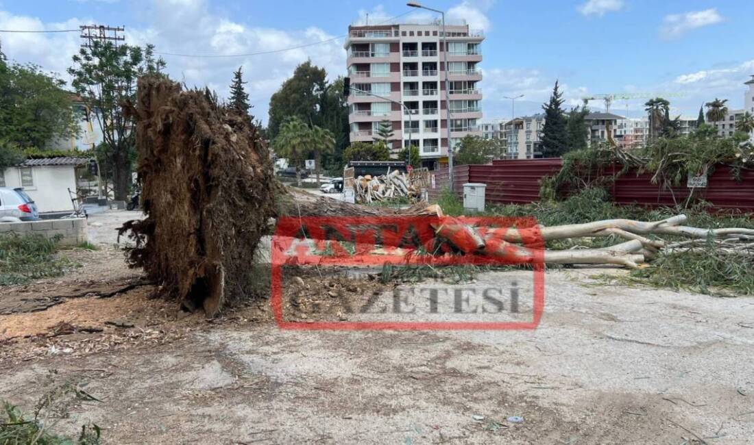 Hatay genelinde etkili olan şiddetli fırtına, Defne ilçesinde hayatı olumsuz