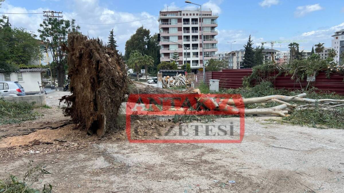 Hatay genelinde etkili olan şiddetli fırtına, Defne ilçesinde hayatı olumsuz