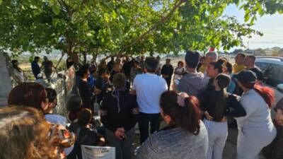 Samandağ Mağaracık Mahallesi’nde TOKİ inşaatı için yüzlerce zeytin ve narenciye