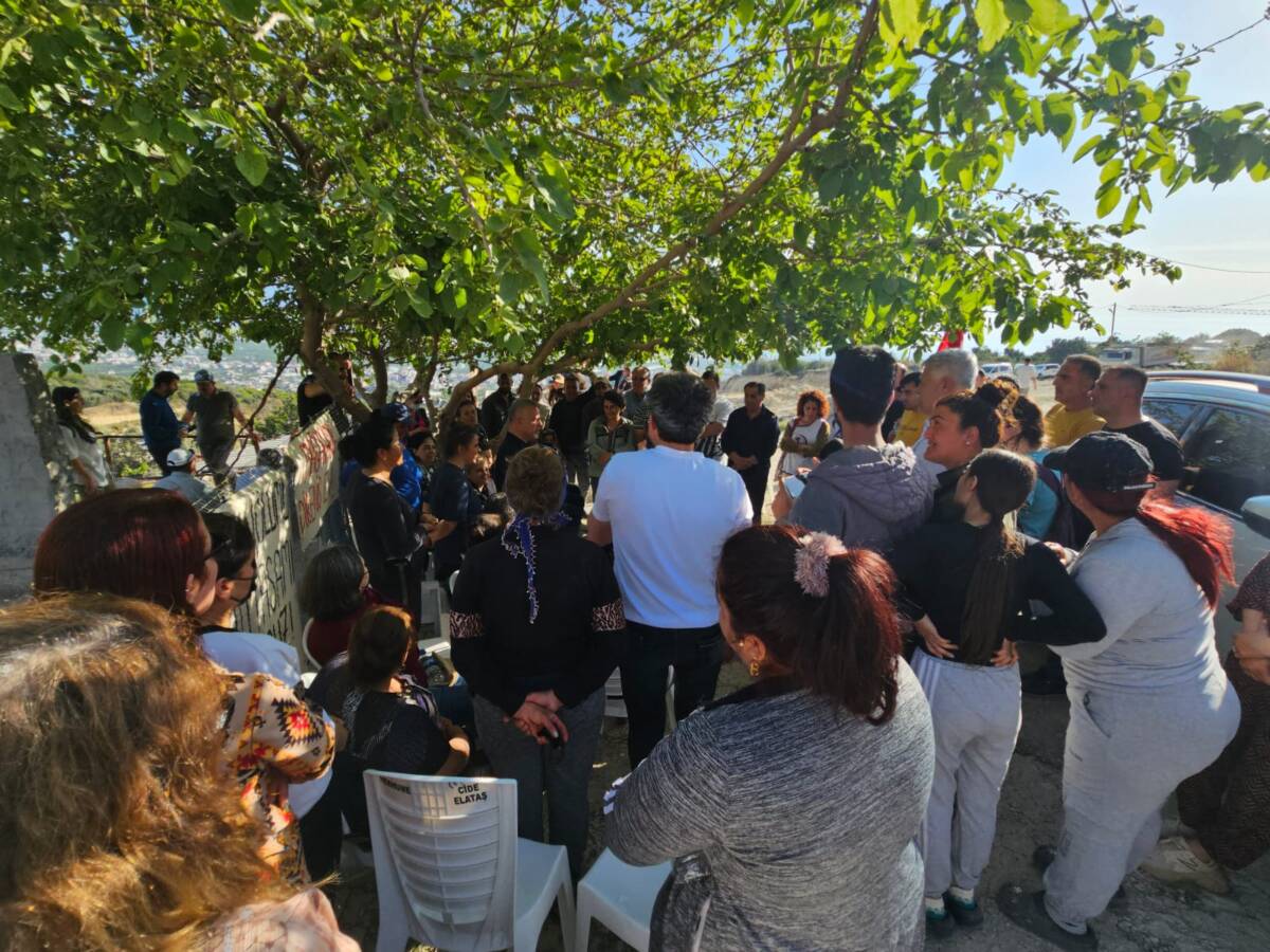 Samandağ Mağaracık Mahallesi’nde TOKİ inşaatı için yüzlerce zeytin ve narenciye