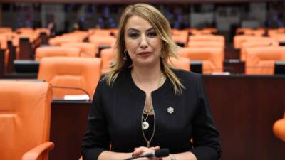 CHP Hatay Milletvekili Nermin Yıldırım Kara, Tip 1 diyabet hastalarına