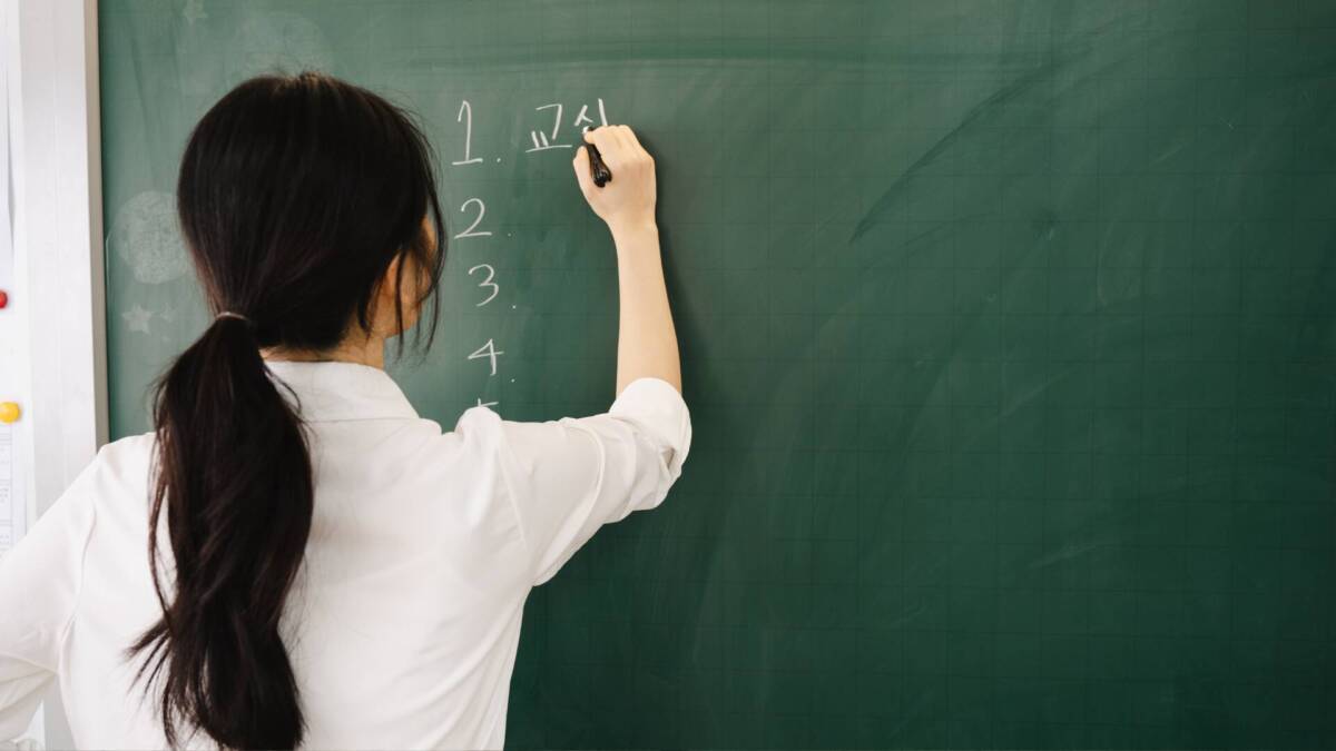 Türkiye Maarif Vakfı, yurt içi ve yurt dışı istihdam planlaması