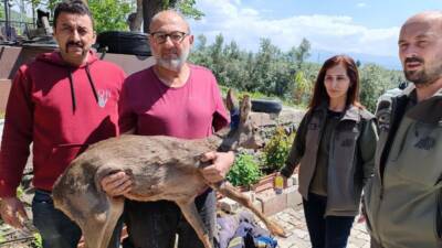 Hatay’ın Erzin ilçesinde, Gökdere Mahallesi’nde bir zeytin bahçesinde yaralı halde