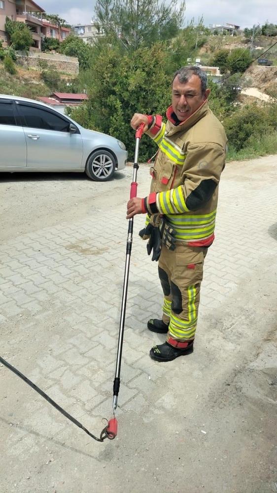 Hatay’ın Antakya ilçesine bağlı Kisecik Mahallesi’nde bir evde yılan görülmesi