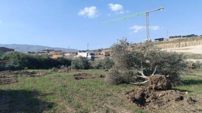 Hatay’ın Dikmece Mahallesi’nde afet konutu yapımı bahanesiyle tapulu arazilere girilerek