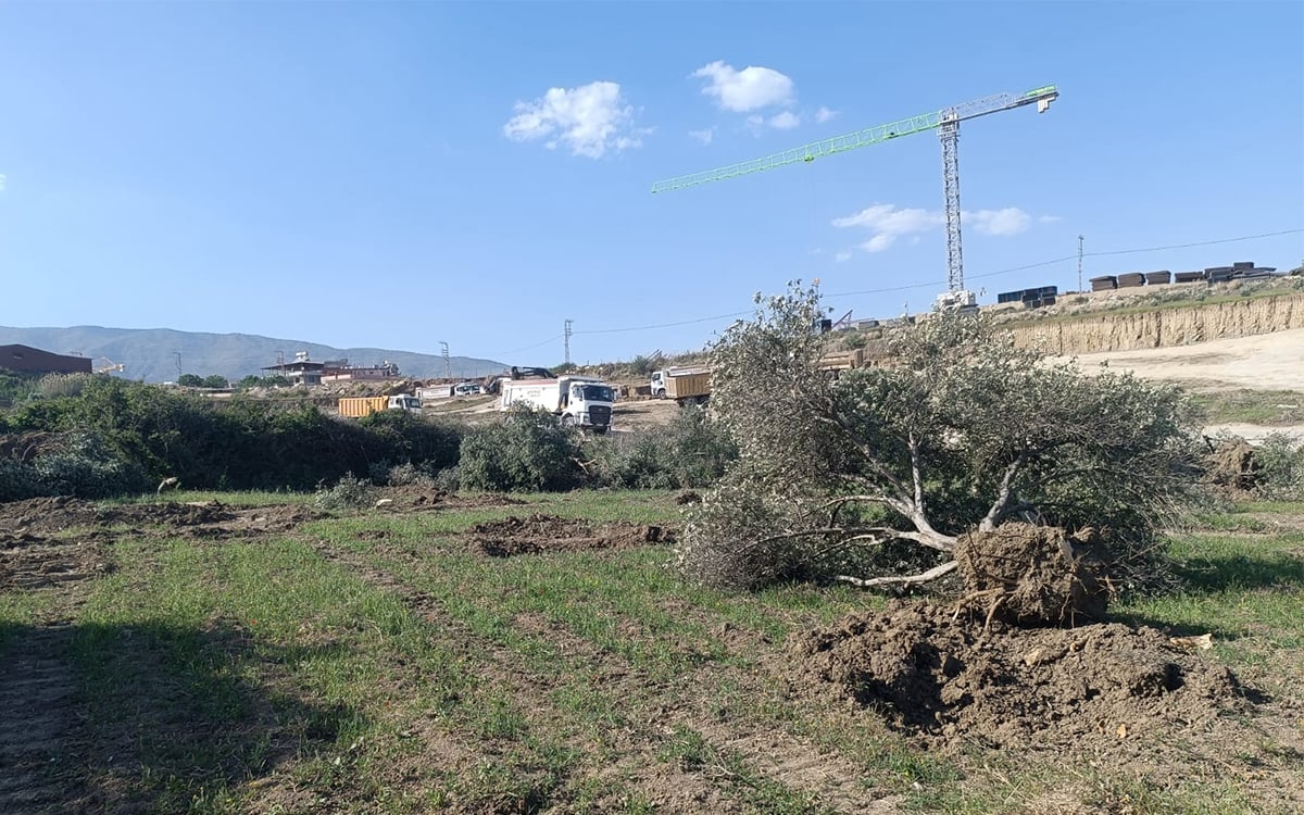 Hatay’ın Dikmece Mahallesi’nde afet konutu yapımı bahanesiyle tapulu arazilere girilerek