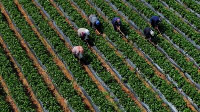 Türkiye İstatistik Kurumu (TÜİK), Mart 2025 dönemine ilişkin Tarımsal Girdi