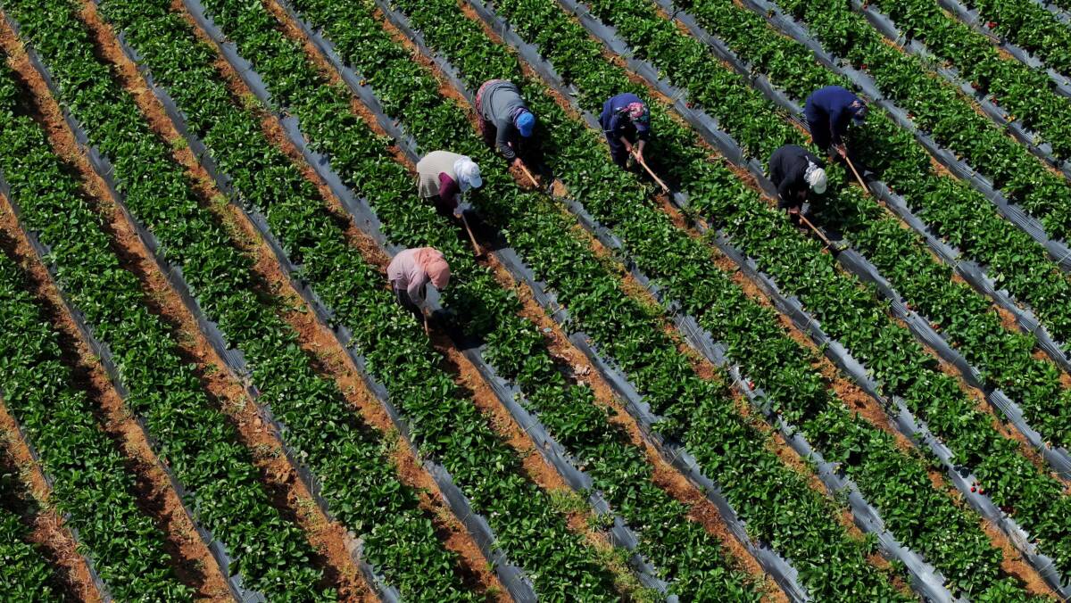 Türkiye İstatistik Kurumu (TÜİK), Mart 2025 dönemine ilişkin Tarımsal Girdi