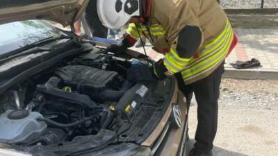 Hatay’ın Erzin ilçesinde bir aracın motor kısmına girerek mahsur kalan