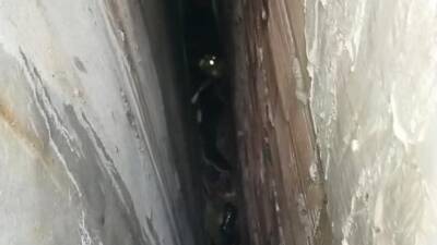 İskenderun’da iki bina arasına düşen kedi, itfaiyenin sabırlı ve titiz