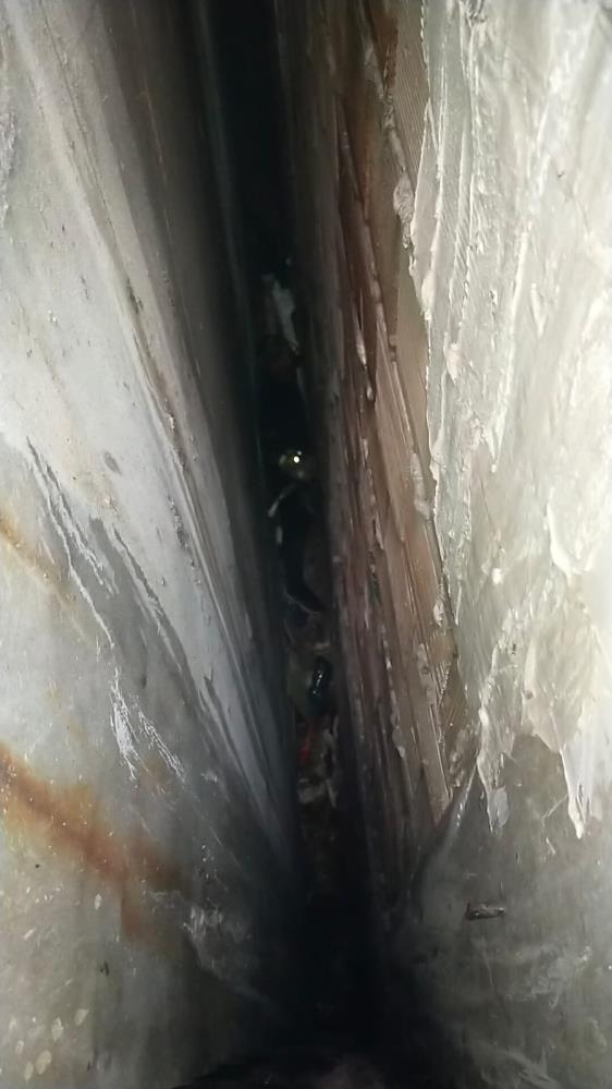 İskenderun’da iki bina arasına düşen kedi, itfaiyenin sabırlı ve titiz