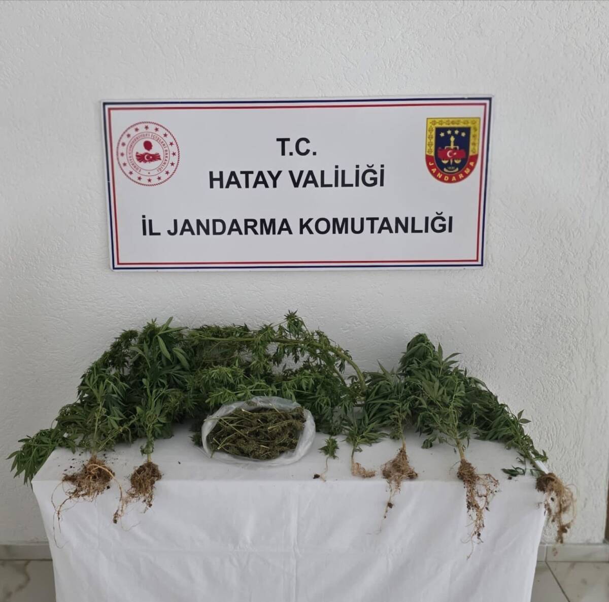 Hatay İl Jandarma Komutanlığı ekipleri, Nisan ayında gerçekleştirdiği operasyonlarla uyuşturucu