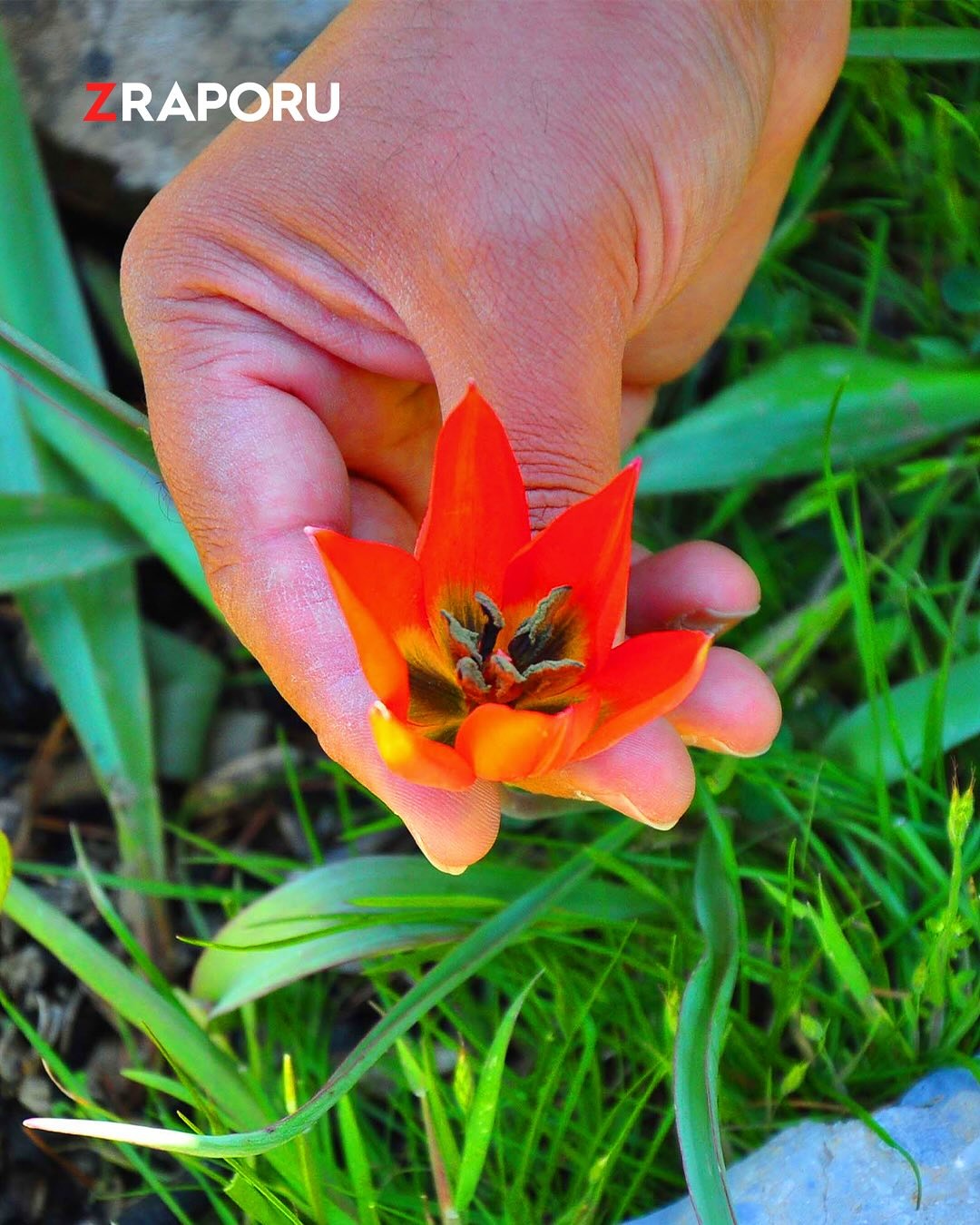 Hatay Barosu’na bağlı motosiklet tutkunu avukatlar, hafta sonu doğayla iç