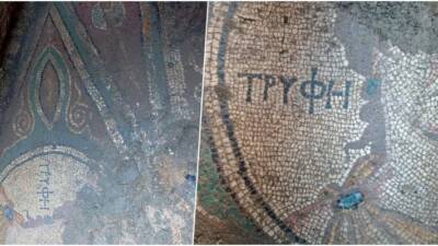 Tokat’ın Zile ilçesinde bir evin bahçesinde kaçak kazı yapan baba