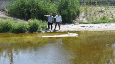 Hatay Büyükşehir Belediyesi (HBB), il genelindeki sivrisinek ve haşere sorununa