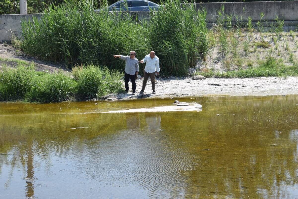Hatay Büyükşehir Belediyesi (HBB), il genelindeki sivrisinek ve haşere sorununa