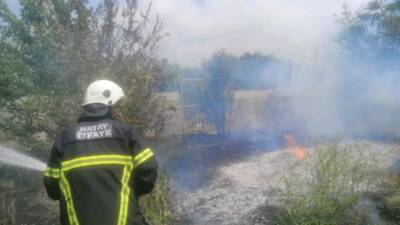 Hatay’ın Samandağ ilçesinde, Atatürk Mahallesi’nde bulunan bir narenciye bahçesinde yangın