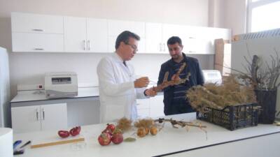 Hatay Mustafa Kemal Üniversitesi (HMKÜ) bünyesindeki Bitki Sağlığı Kliniği Uygulama