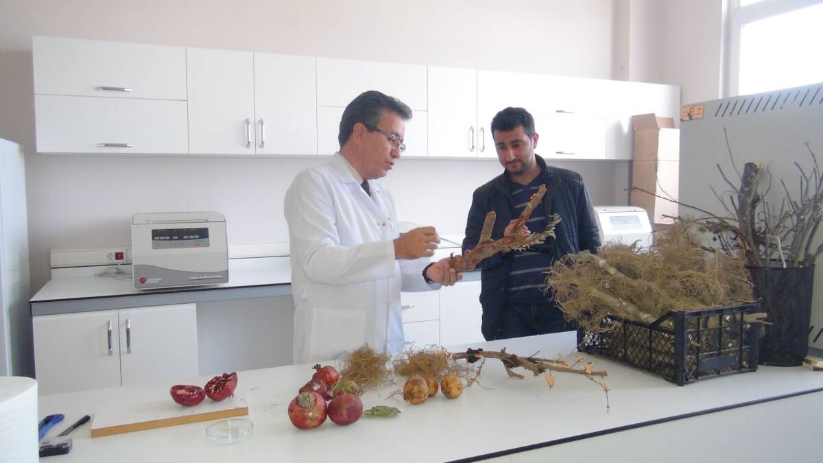 Hatay Mustafa Kemal Üniversitesi (HMKÜ) bünyesindeki Bitki Sağlığı Kliniği Uygulama