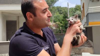 Denizciler Mahallesi'nde aracın motoruna sıkışan minik kedi, itfaiyenin titiz çalışmasıyla