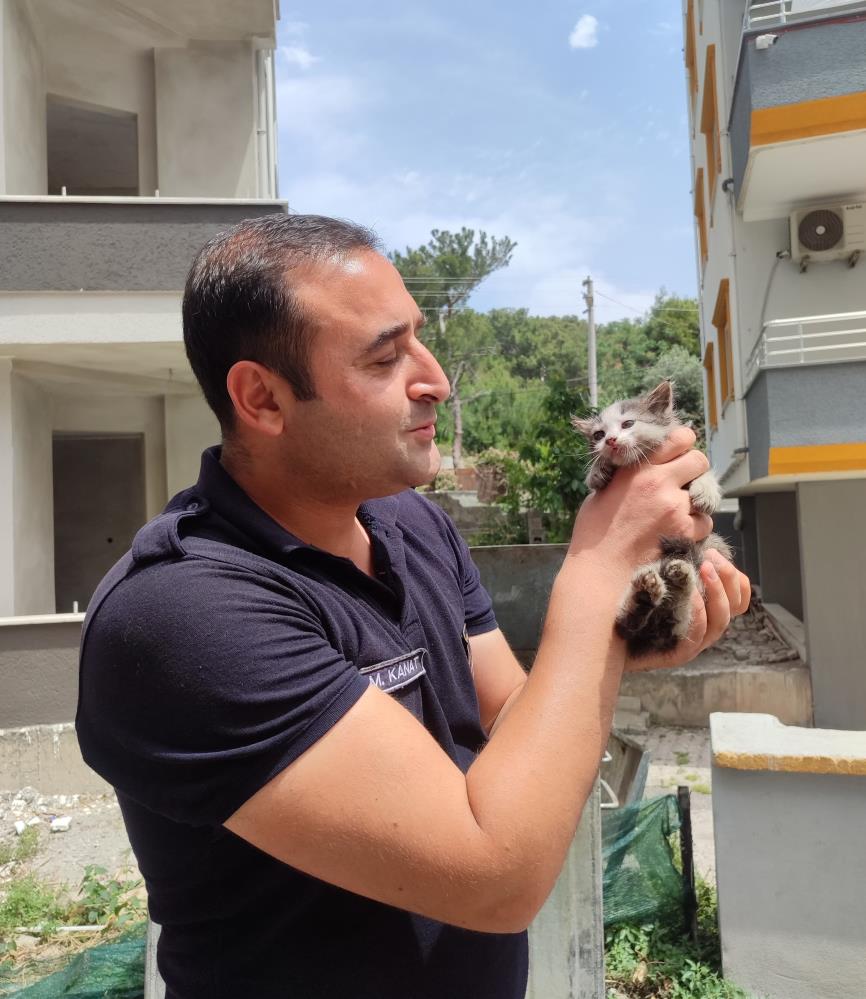 Denizciler Mahallesi'nde aracın motoruna sıkışan minik kedi, itfaiyenin titiz çalışmasıyla