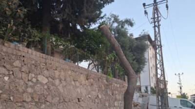 Antakya Çevre Koruma Derneği, Harbiye Bulvarı üzerinde son günlerde yapılan