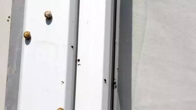 Hatay’da baharın gelişiyle birlikte sıcaklıklar artarken, sivrisinek ve haşere yoğunluğu