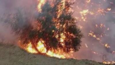 Hatay’ın Belen ilçesinde zeytinlik bir alanda çıkan yangın, kuvvetli fırtınanın