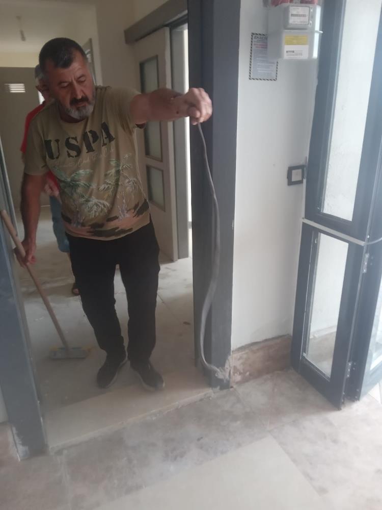 Hatay’ın Dörtyol ilçesine bağlı Kuzuculu Mahallesi’nde bir apartman dairesine giren