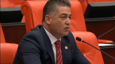 CHP Hatay Milletvekili Servet Mullaoğlu, Türkiye Büyük Millet Meclisi (TBMM)