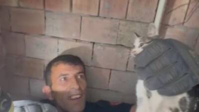 Hatay’ın İskenderun ilçesinde bir apartmanın havalandırma boşluğuna düşen yavru kedi,