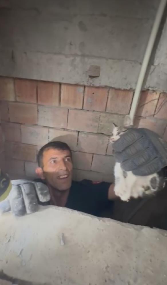Hatay’ın İskenderun ilçesinde bir apartmanın havalandırma boşluğuna düşen yavru kedi,