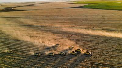 Türkiye İstatistik Kurumu (TÜİK), Nisan 2025 dönemine ait Tarım Ürünleri