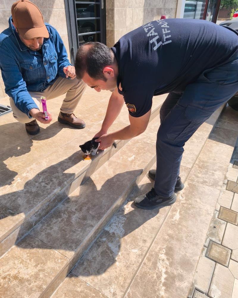 Hatay’ın Arsuz ilçesinde aracın altına sıkışan bir yavru kedi, itfaiye