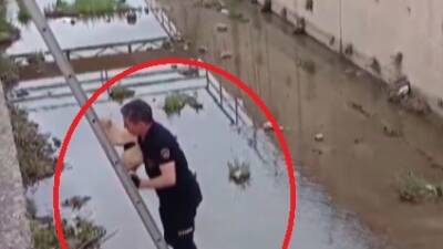 Hatay’ın Payas ilçesine bağlı Karbeyaz Mahallesi’nde bir kedi, dengesini kaybederek