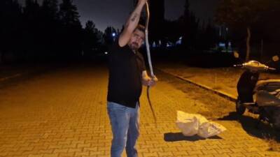 Hatay’ın Payas ilçesinde bir evin çamaşır makinesine giren 1,5 metrelik