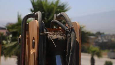 Yuvayı Yıkmadı, 150 Bin TL'den VazgeçtiHatay'ın Antakya ilçesinde hafriyat işiyle