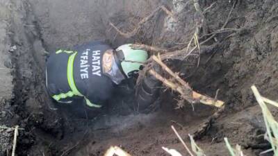 Hatay’ın Kumlu ilçesinde bir kuyuda mahsur kalan yavru köpek, itfaiye